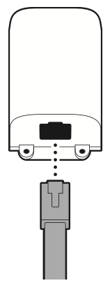 Illustration showing how to plug the Ethernet cable into the adapter.