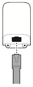 Illustration showing how to plug the Ethernet cable into the adapter.