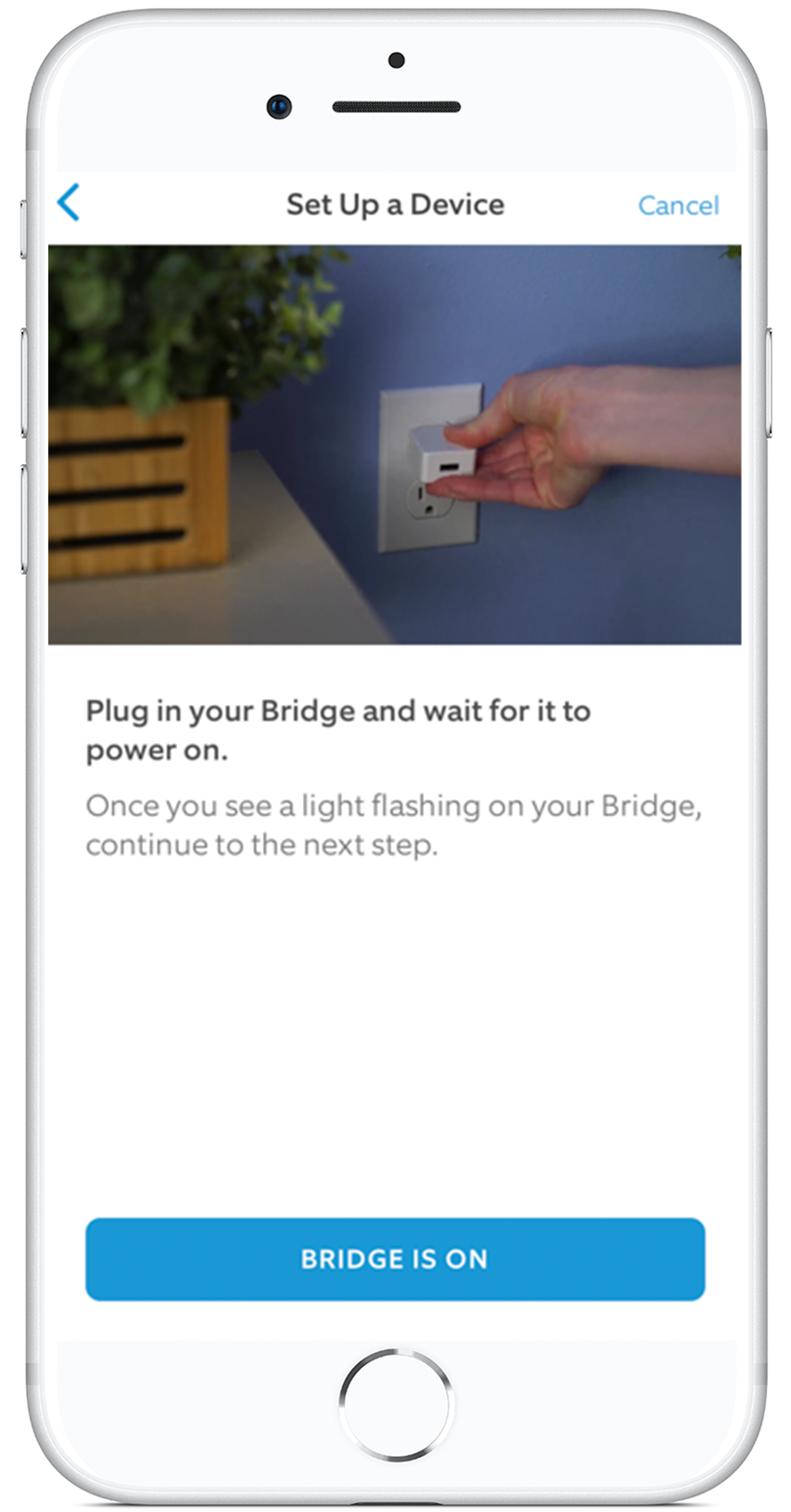 Setting Up Your Ring Smart Lighting Bridge