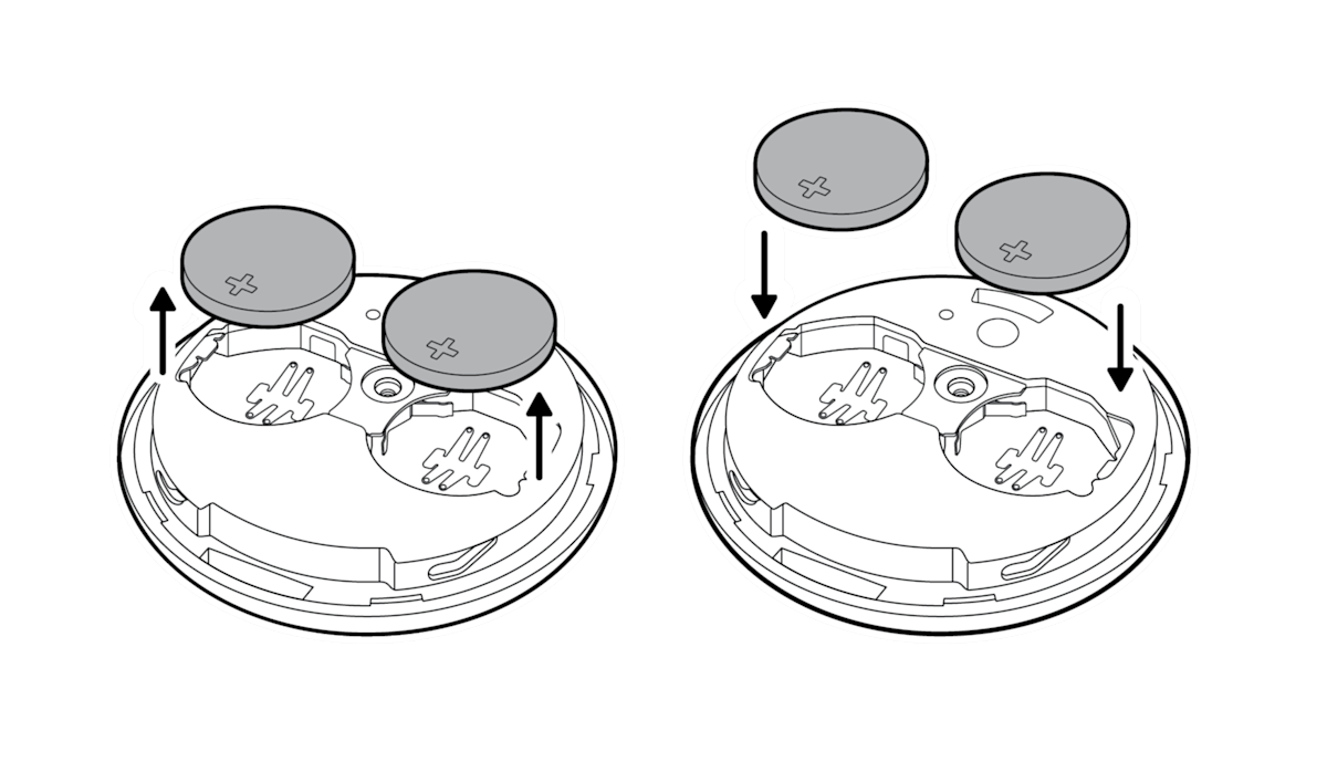 Illustration to show the removal and replacement of the the two coin cell batteries.