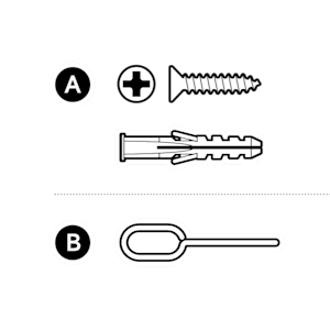 Illustration to show screws, wall plugs and push pin provided with your Smart Light Remote.